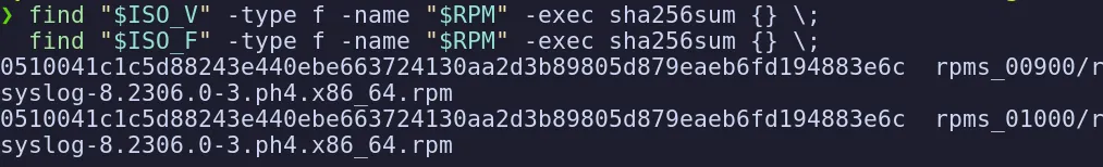 sha256sum of the rsyslog RPM in both ISOs printing the identical hash 0510041c1c5d88243e440ebe663724130aa2d3b89805d879eaeb6fd194883e6c for the 00900 and 01000 builds
